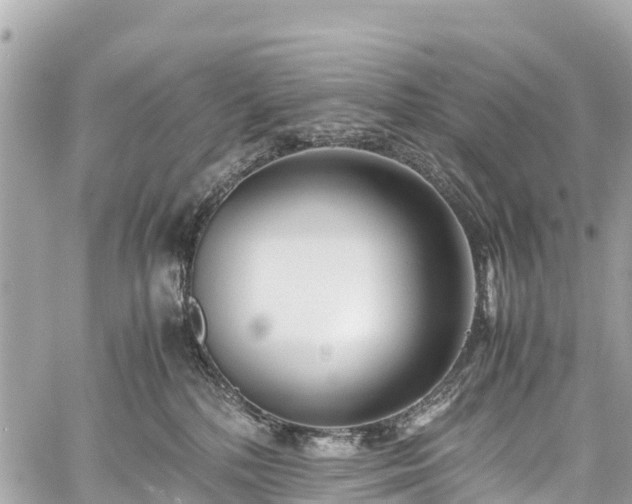 X0000059830232200510241429