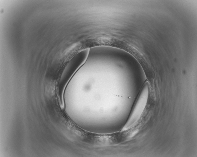 X0000059830233200510241429