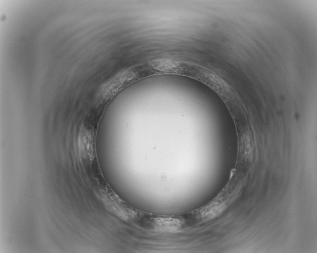 X0000059830234200510241429