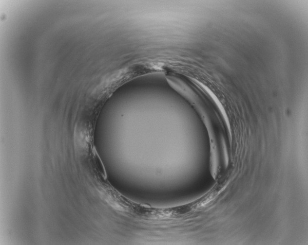 X0000059830235200510241429