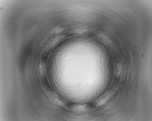 X0000059830236200510241429