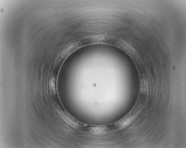 X0000059830238200510241429