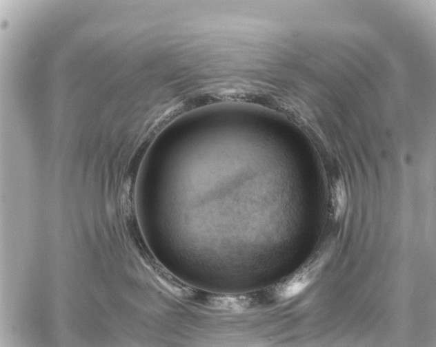 X0000059830239200510241429