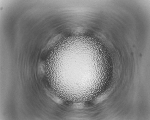 X0000059830240200510241429