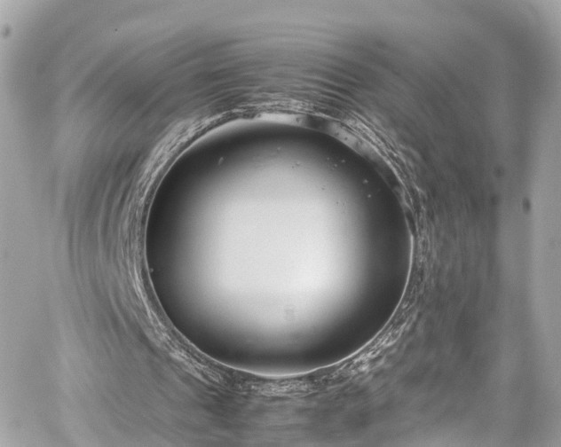 X0000059830241200510241428