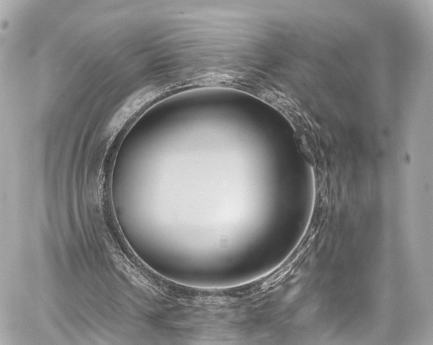 X0000059830242200510241428