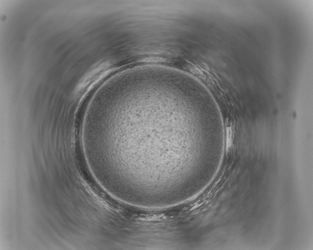 X0000059830243200510241428