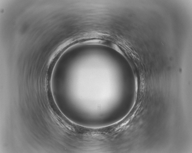 X0000059830244200510241428