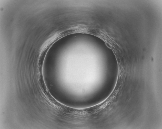 X0000059830245200510241428