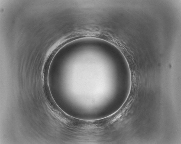 X0000059830246200510241428