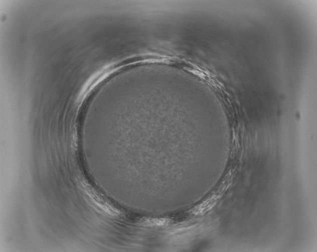 X0000059830247200510241428