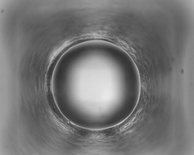 X0000059830248200510241428