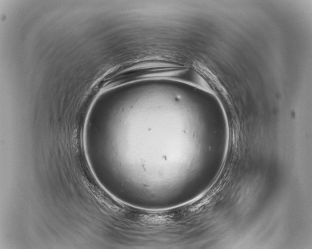 X0000059830249200510241428