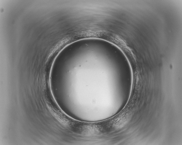 X0000059830250200510241428