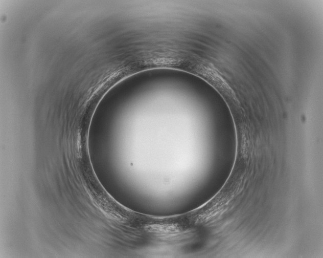 X0000059830251200510241428