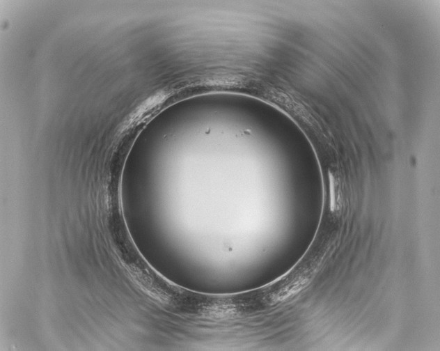 X0000059830252200510241428