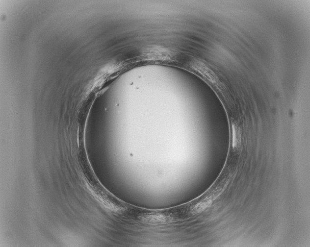 X0000059830253200510241428