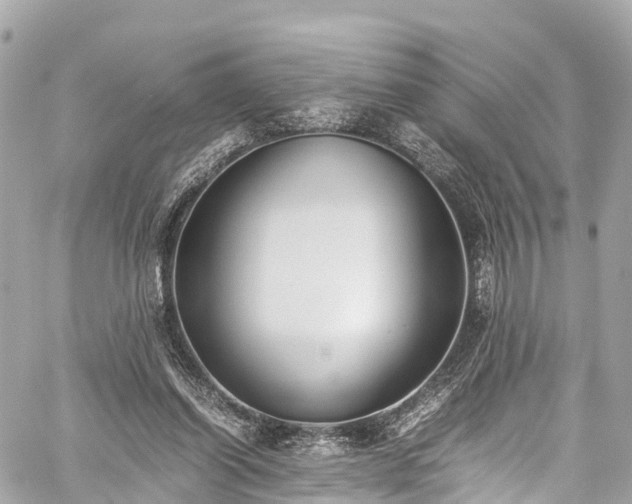 X0000059830254200510241428