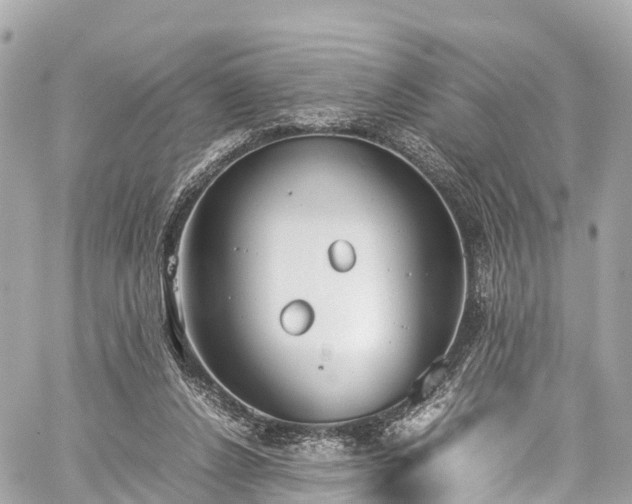 X0000059830256200510241428