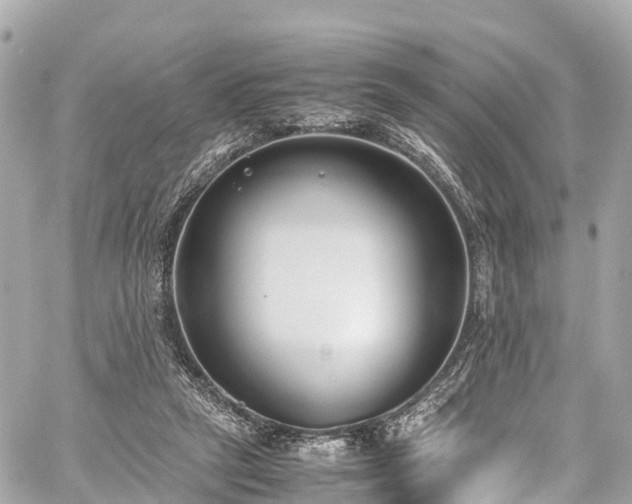 X0000059830257200510241428