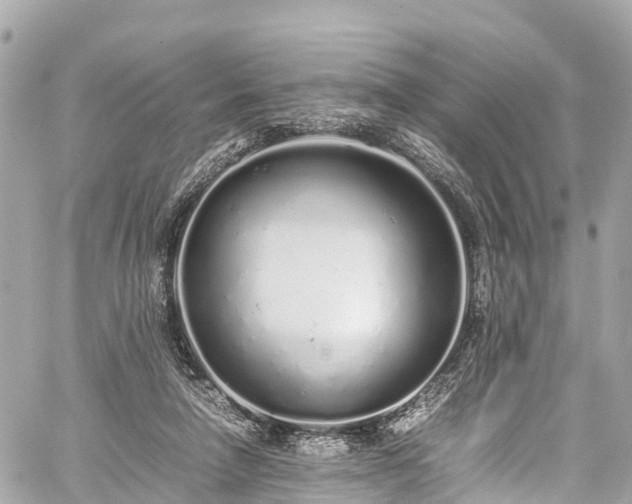 X0000059830258200510241428