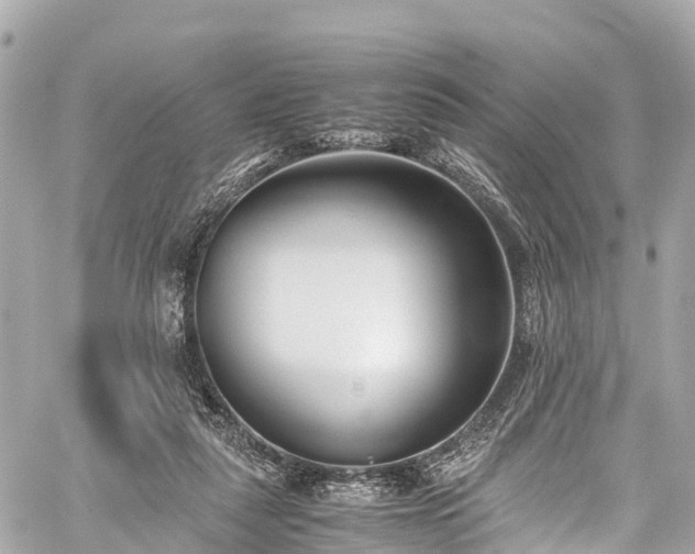 X0000059830259200510241428