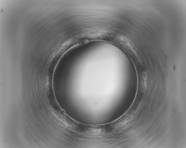 X0000059830260200510241428