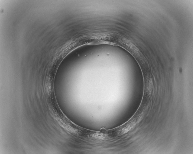 X0000059830261200510241428