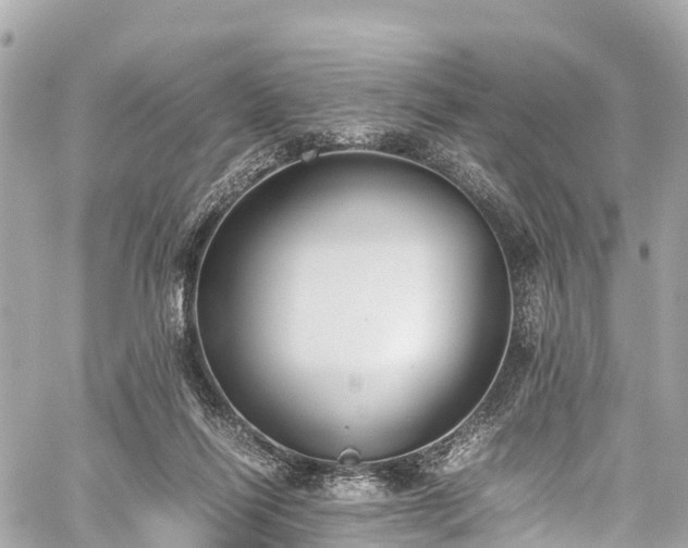 X0000059830262200510241428