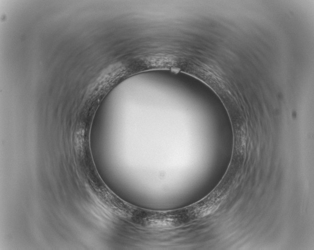 X0000059830263200510241428