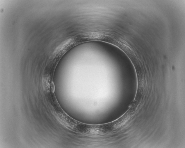 X0000059830264200510241428