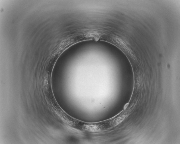 X0000059830265200510241428