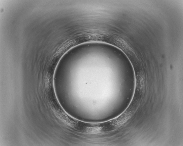 X0000059830266200510241428