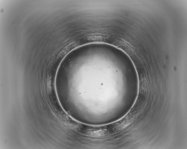 X0000059830267200510241428