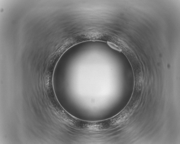 X0000059830268200510241428