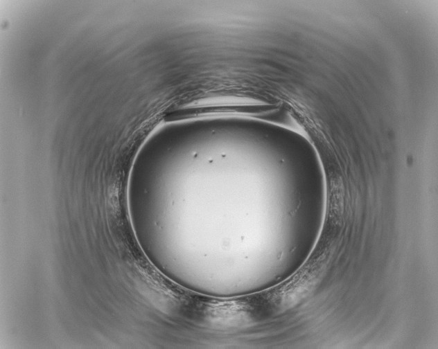 X0000059830269200510241428