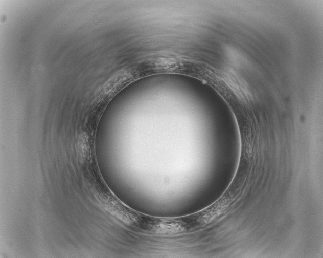 X0000059830270200510241428