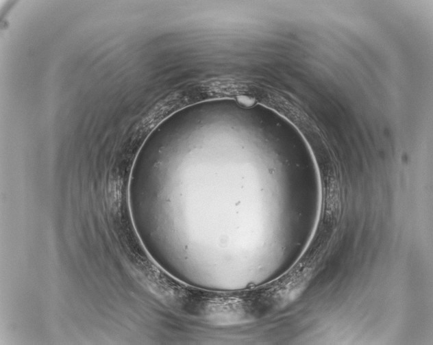 X0000059830271200510241428