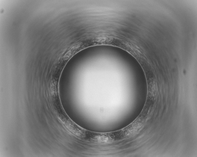 X0000059830272200510241428