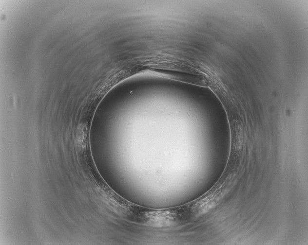 X0000059830273200510241429