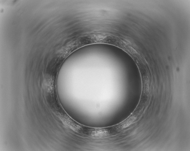 X0000059830274200510241429