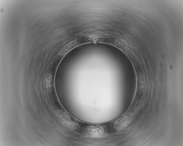 X0000059830275200510241429