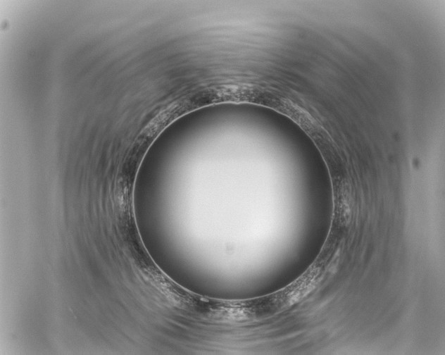 X0000059830276200510241429