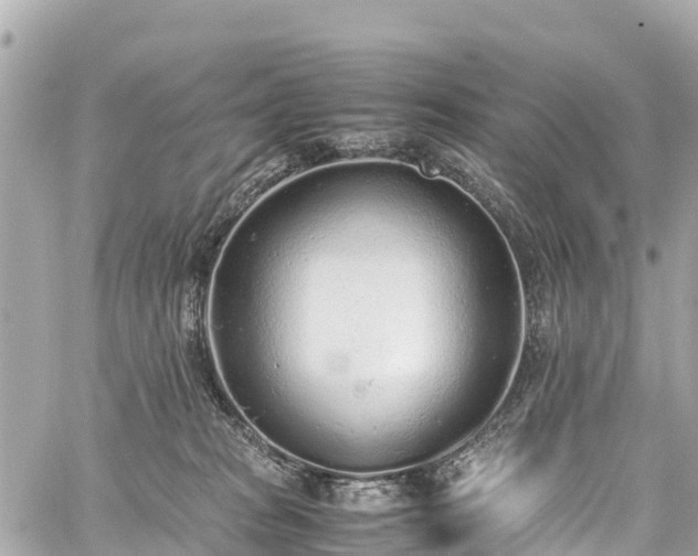 X0000059830277200510241429