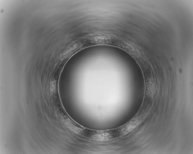 X0000059830278200510241429