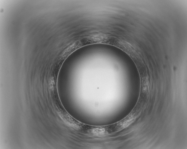 X0000059830279200510241429