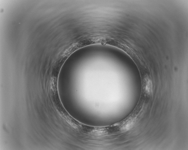 X0000059830280200510241429