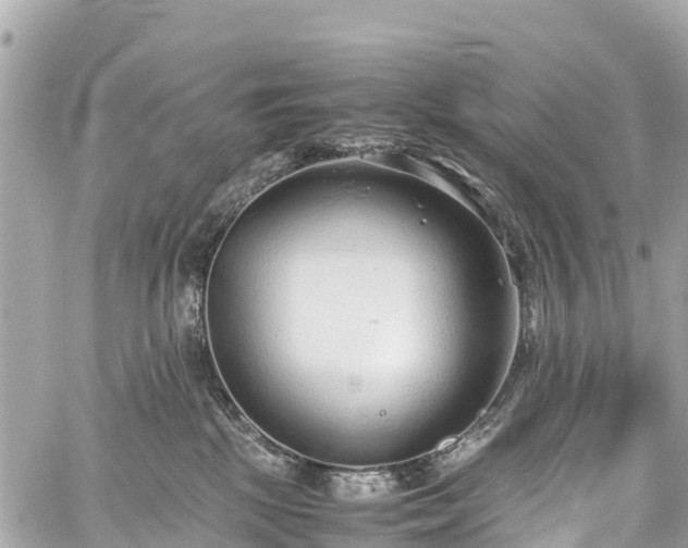 X0000059830281200510241429