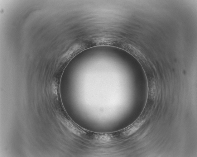 X0000059830282200510241429