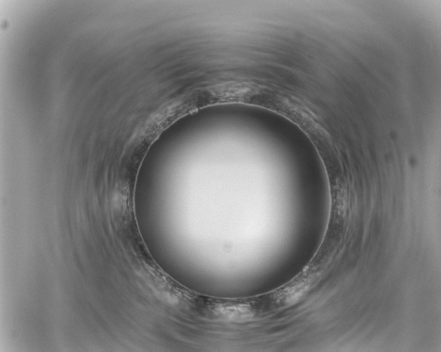 X0000059830283200510241429